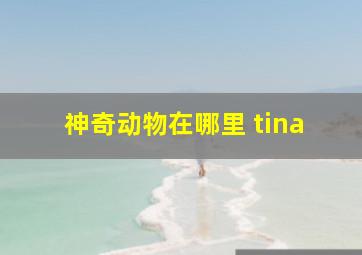 神奇动物在哪里 tina